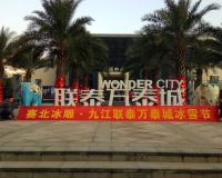 聯泰萬泰城冰雕節「賽北冰雕」