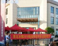 安遠祥光中央公園冰雕節(jié)「賽北冰雕」