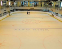 吉林遼源市南部新城滑冰館工程項(xiàng)目「賽北冰雕」