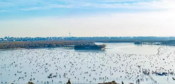 北京滑冰場 北京滑冰場