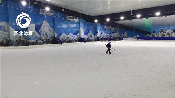 太原滑雪場制作廠家找哪家