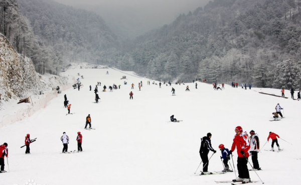銀七星滑雪場 銀七星滑雪場
