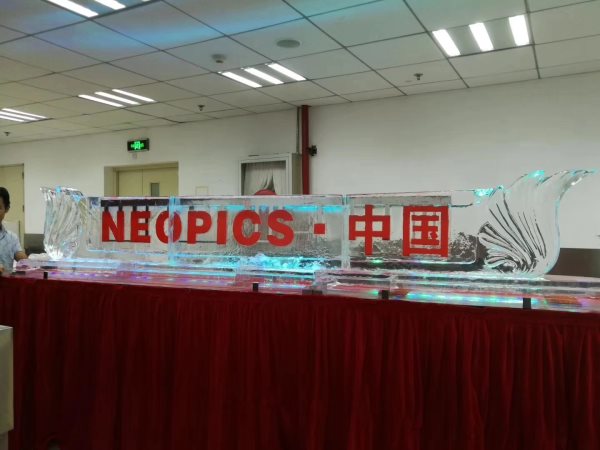 寧波做冰雕logo 寧波做冰雕logo